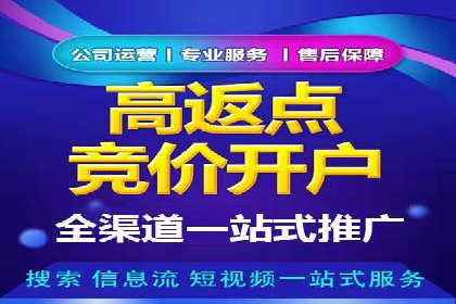 SEM关键词竞争分析案例